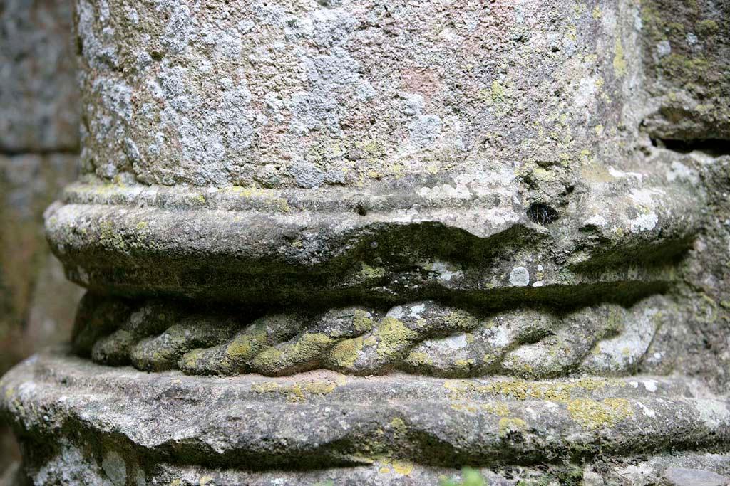 ensemble castral : castrum
