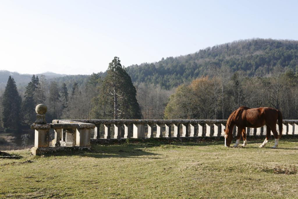 jardin d'agrément dit parc du château de Sibra