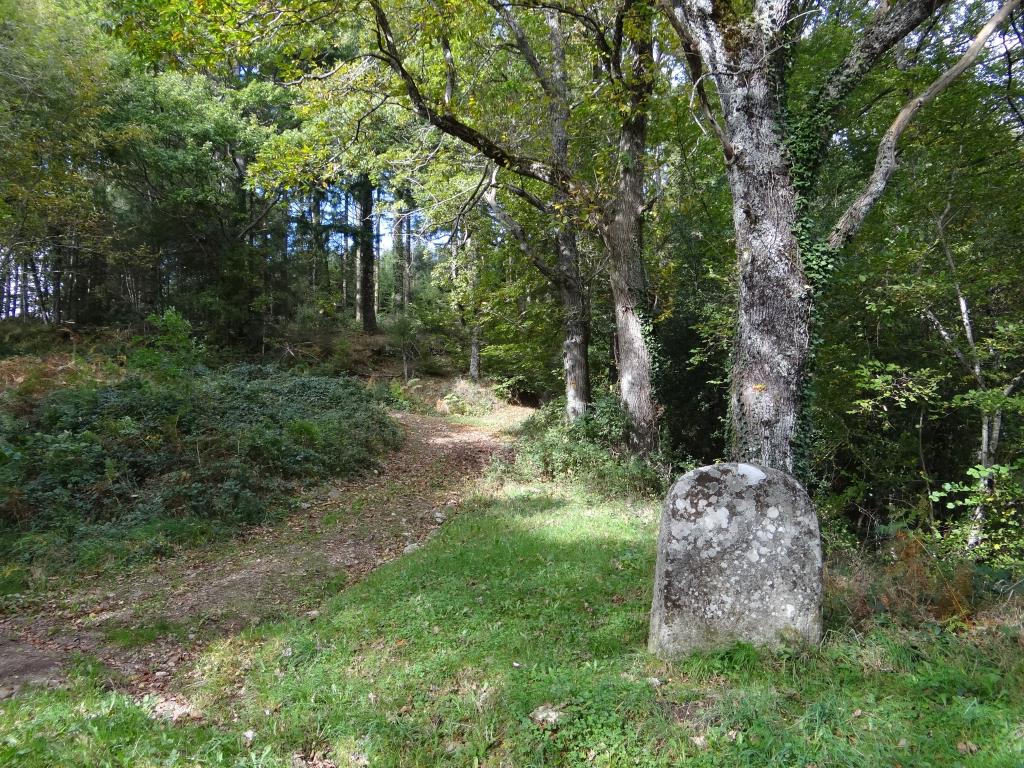 statue-menhir de Cambaïssy