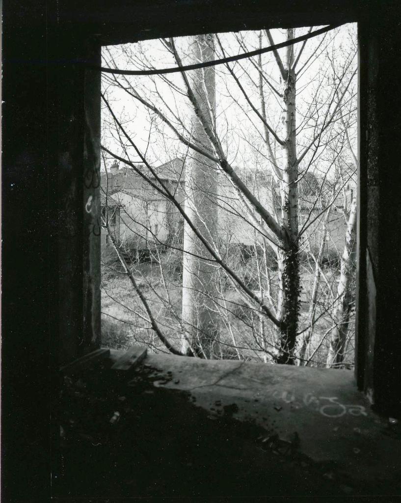 mégisserie , usine de teinturerie , ganterie Guibert frères