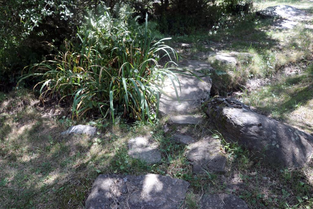 Moulin d'Amont