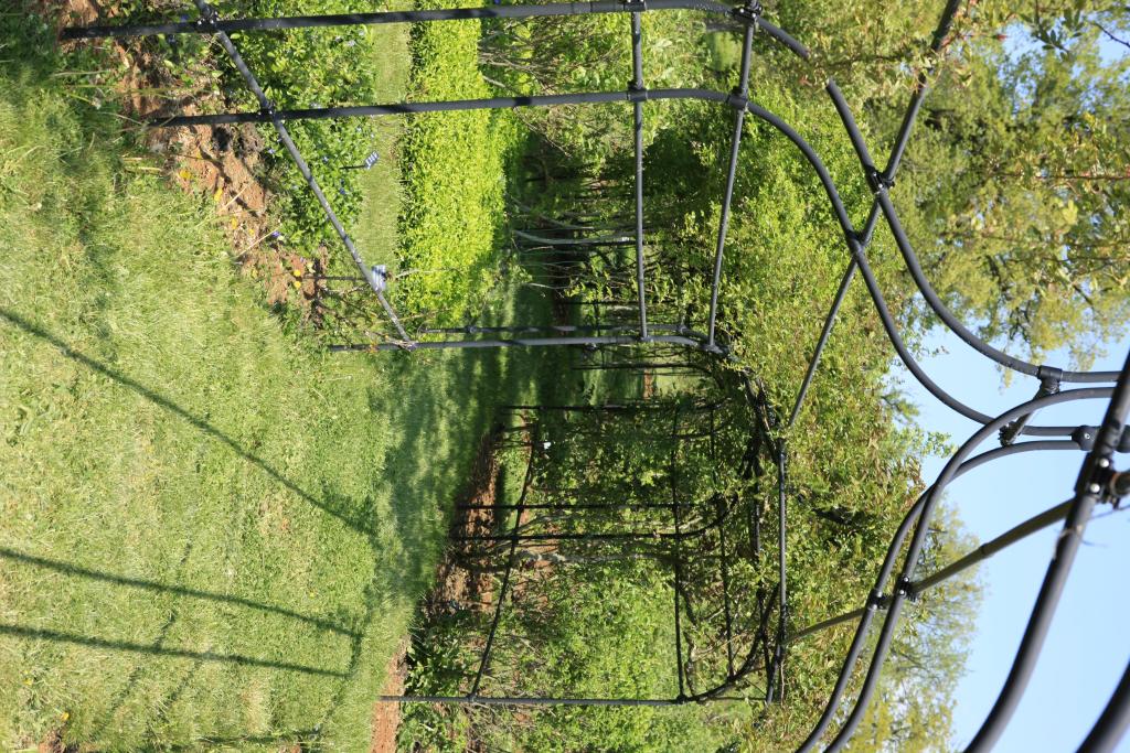 jardin dit Jardin d'Eden Médiéval et parc du château du Colombier