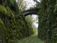 ponceau
