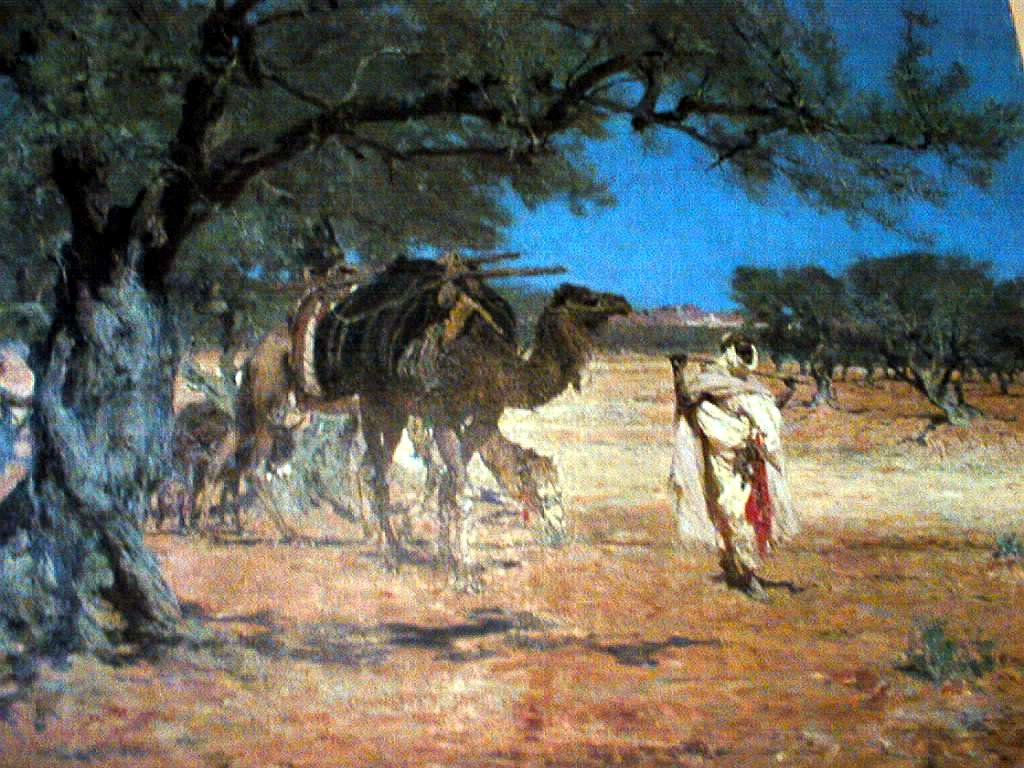 tableau : Les Oliviers à Sfax