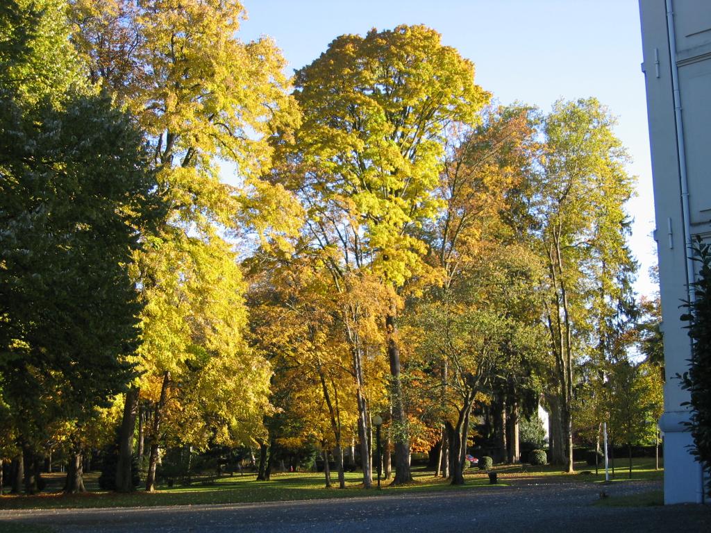 jardin d'agrément, jardin public dit parc thermal d'Argelès-Gazost
