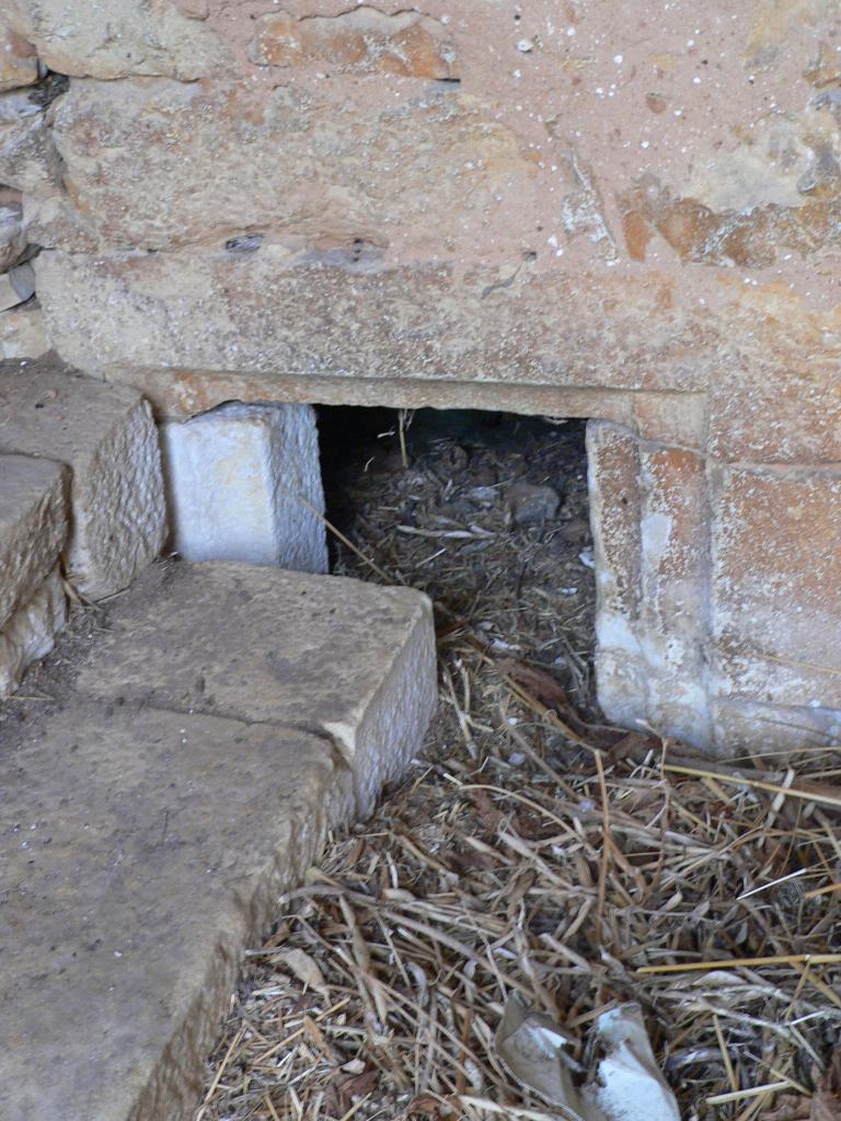 ferme