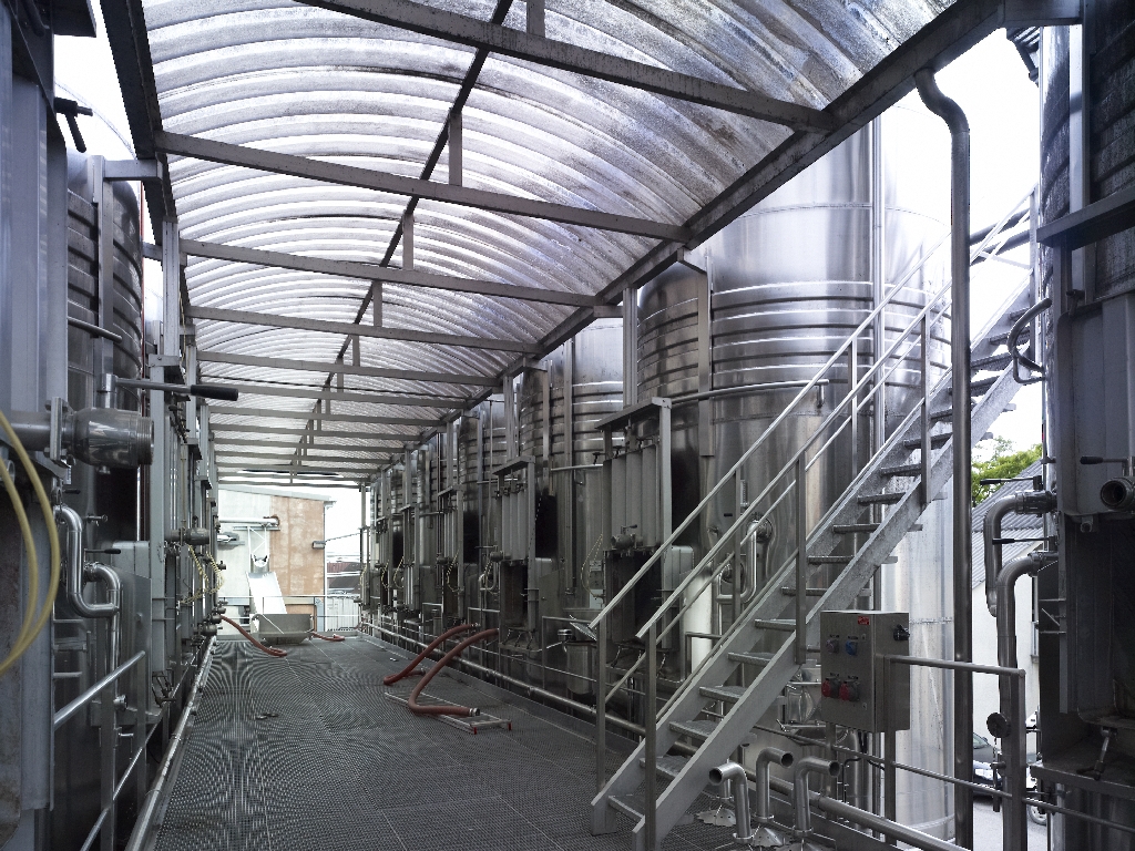 coopérative vinicole : SCAV du Razès ; Cave du Razès