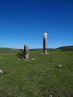 Menhirs (2) du groupe de la Vaissière