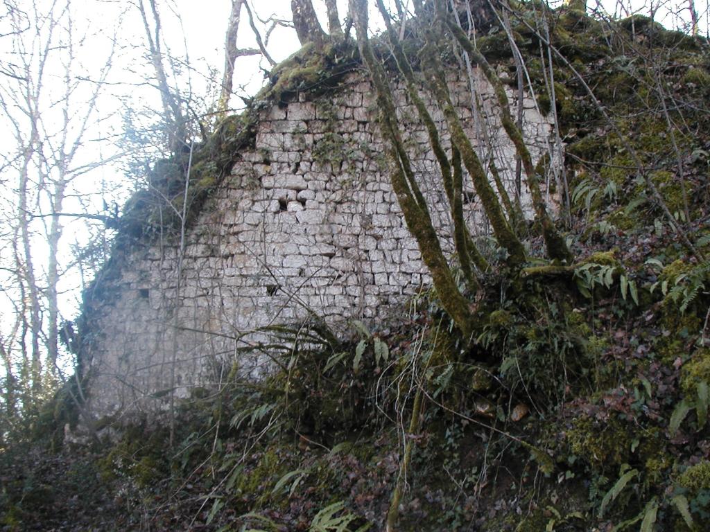 ensemble castral : castrum