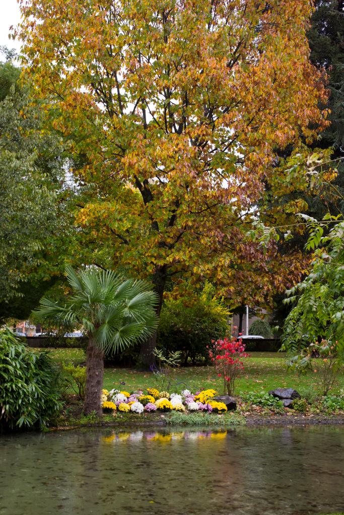 jardin de l'ancien château Delong dit Parc Bel Air