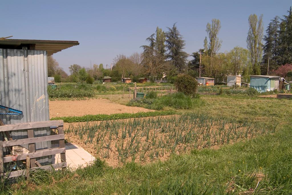jardins ouvriers dit jardins familiaux de la Ribère