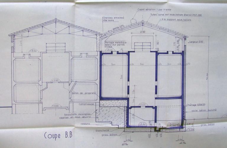 coopérative vinicole