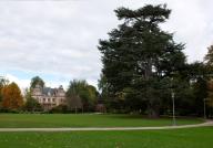 jardin de l'ancien château Delong dit Parc Bel Air