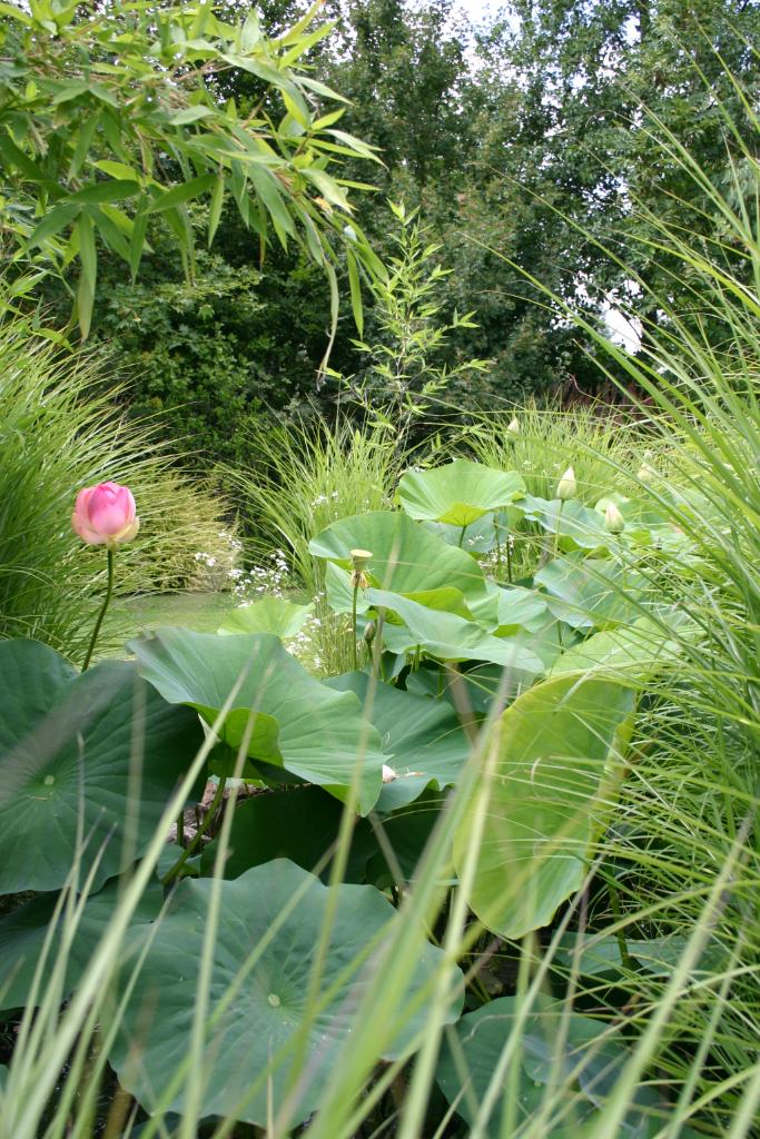 jardin botanique dit Les Martels