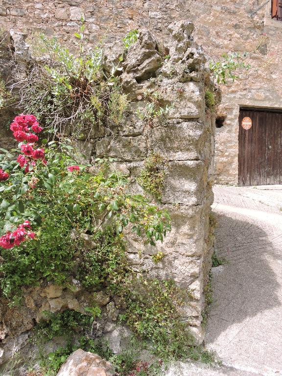 écart : bourg castral de Boussagues