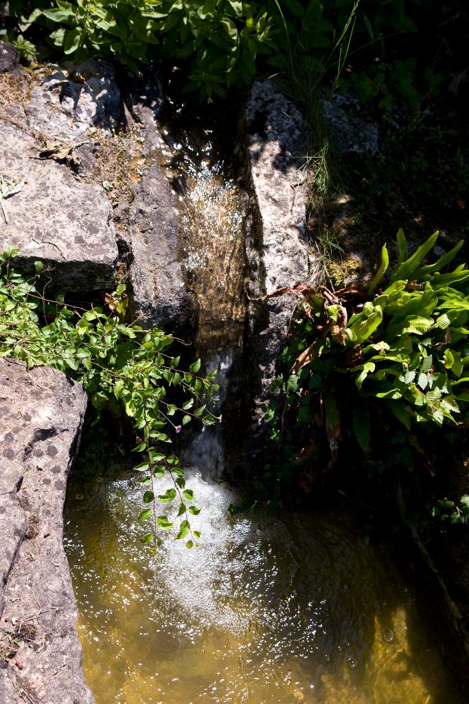 jardin d'agrément dit jardin Bailleul