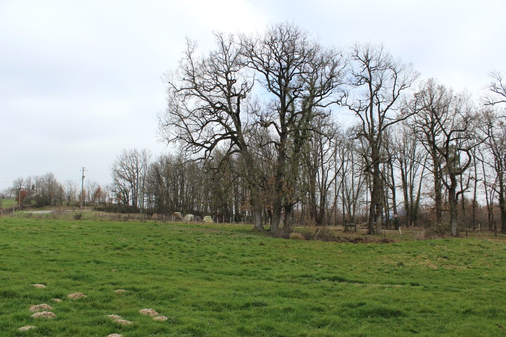ferme