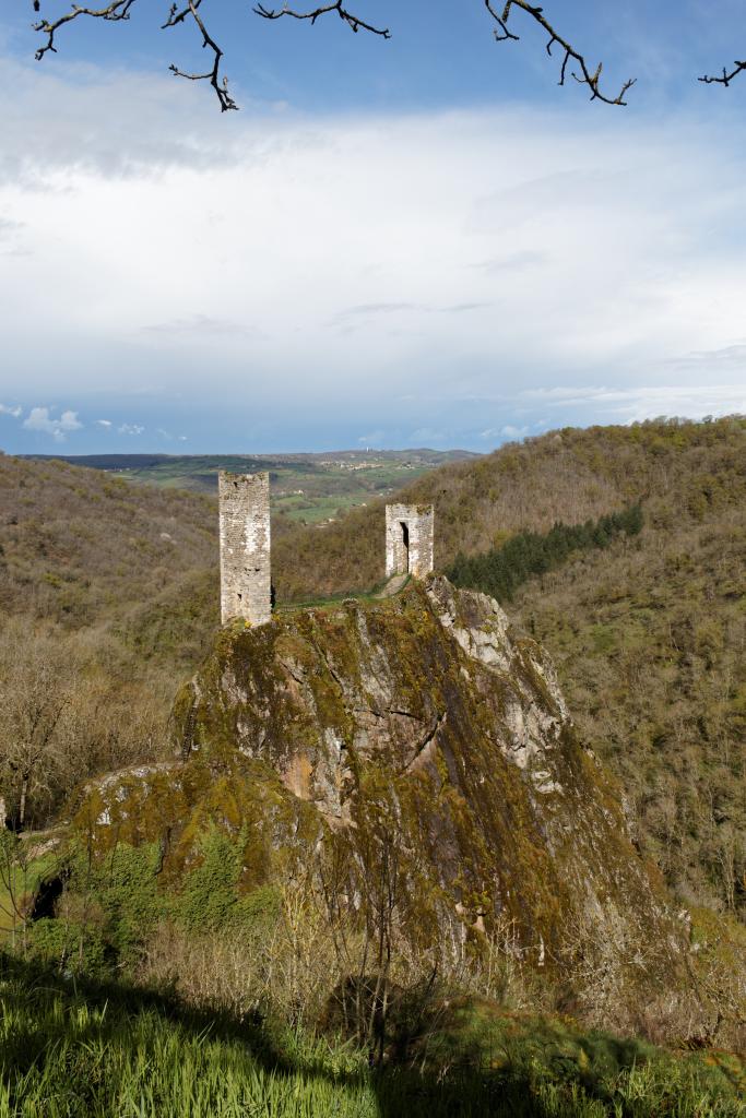 château fort, dit Château Inférieur
