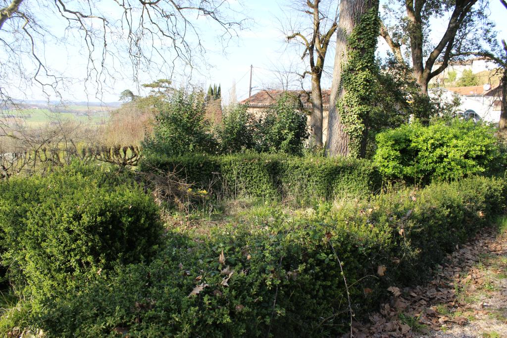 jardin d'agrément