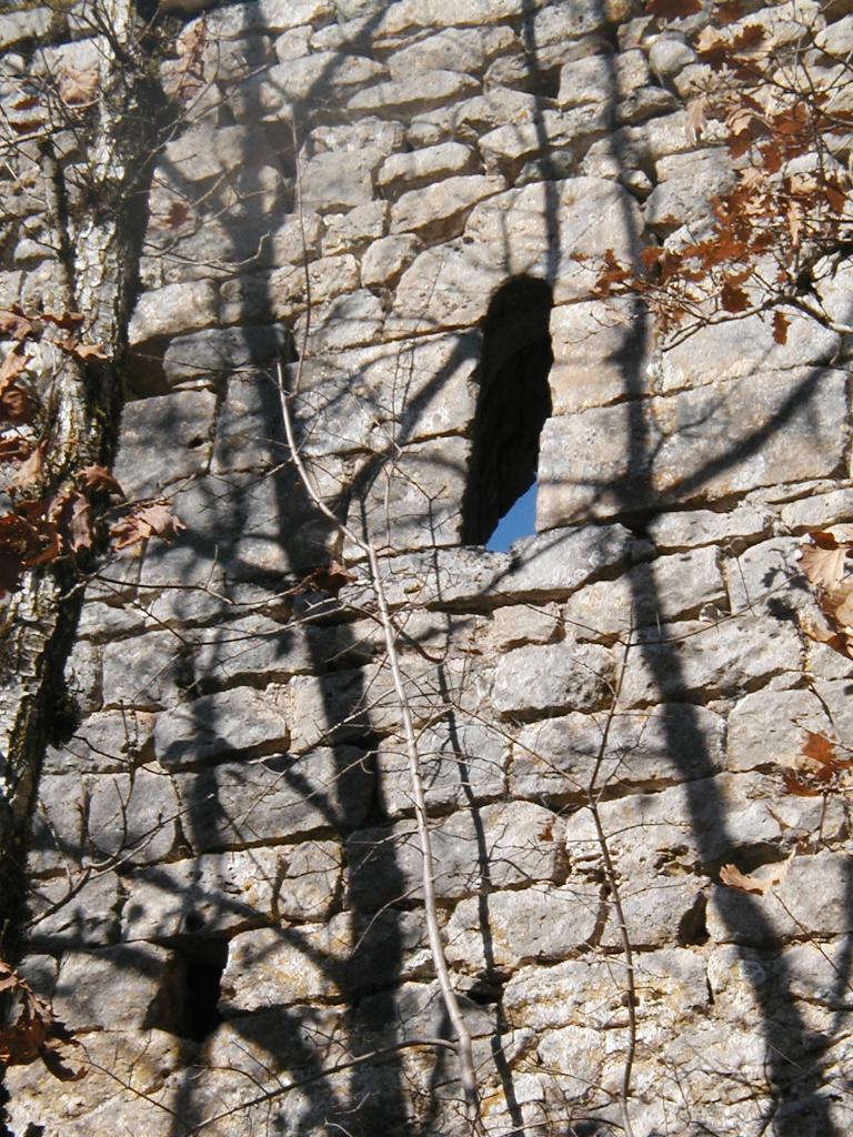 ensemble castral : castrum
