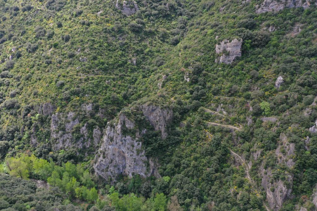 moulin, dit moulin de Monsieur