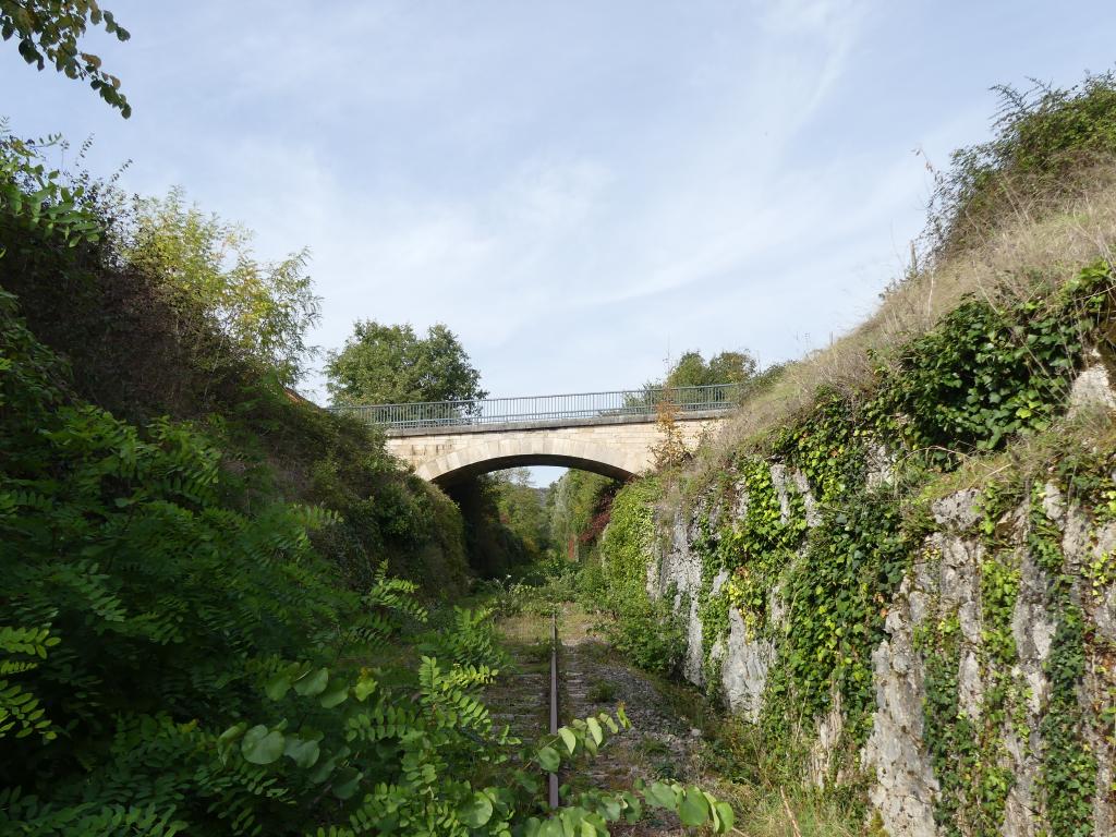 ponceau