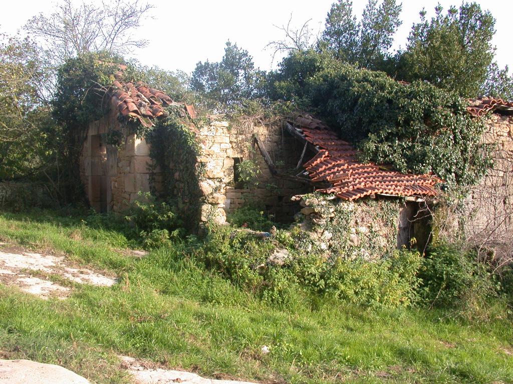 manoir , ferme