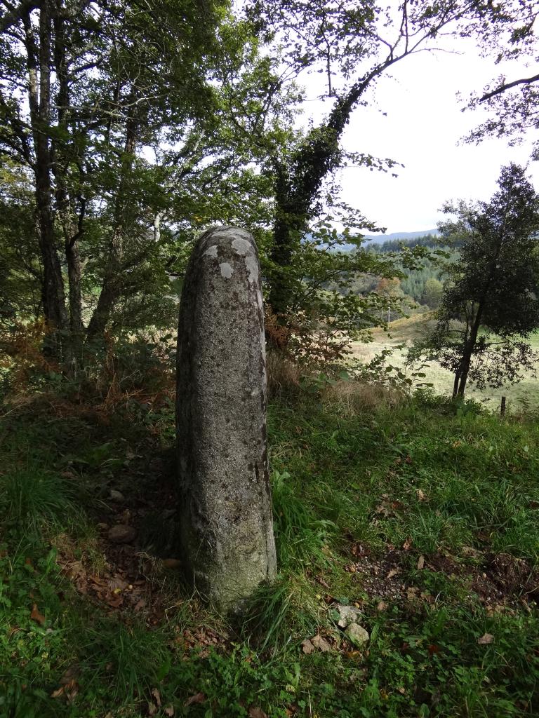 statue-menhir de Cambaïssy