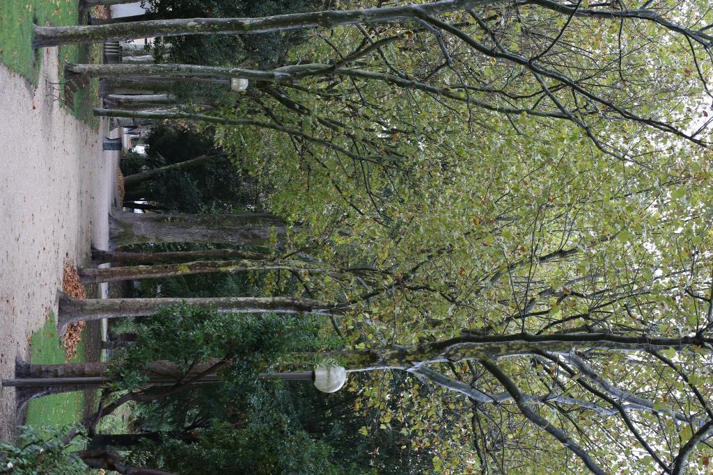jardin de la Villa Fould, actuellement Parc Chastellain