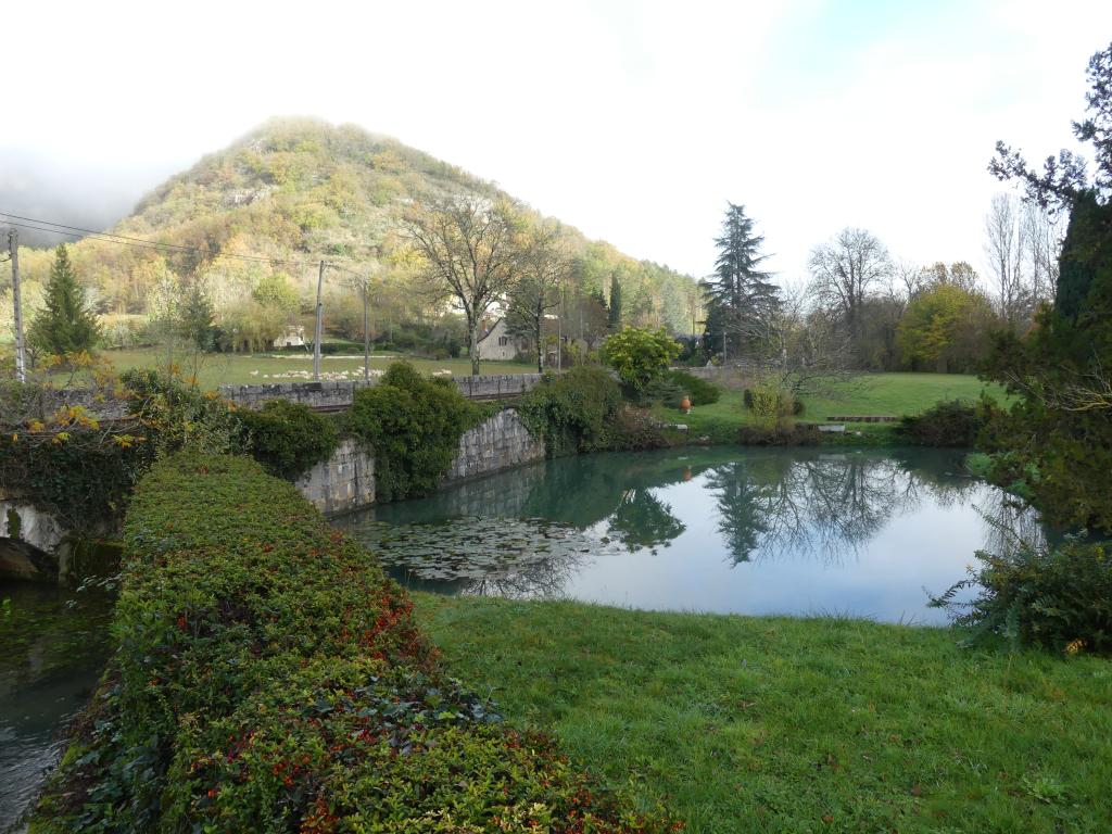 ponceau