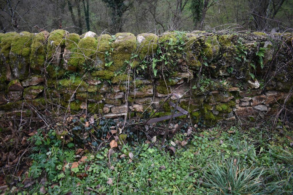 ancien cimetière d'Ampiac, aujourd'hui verger OK VERIFIER ARCHIVES