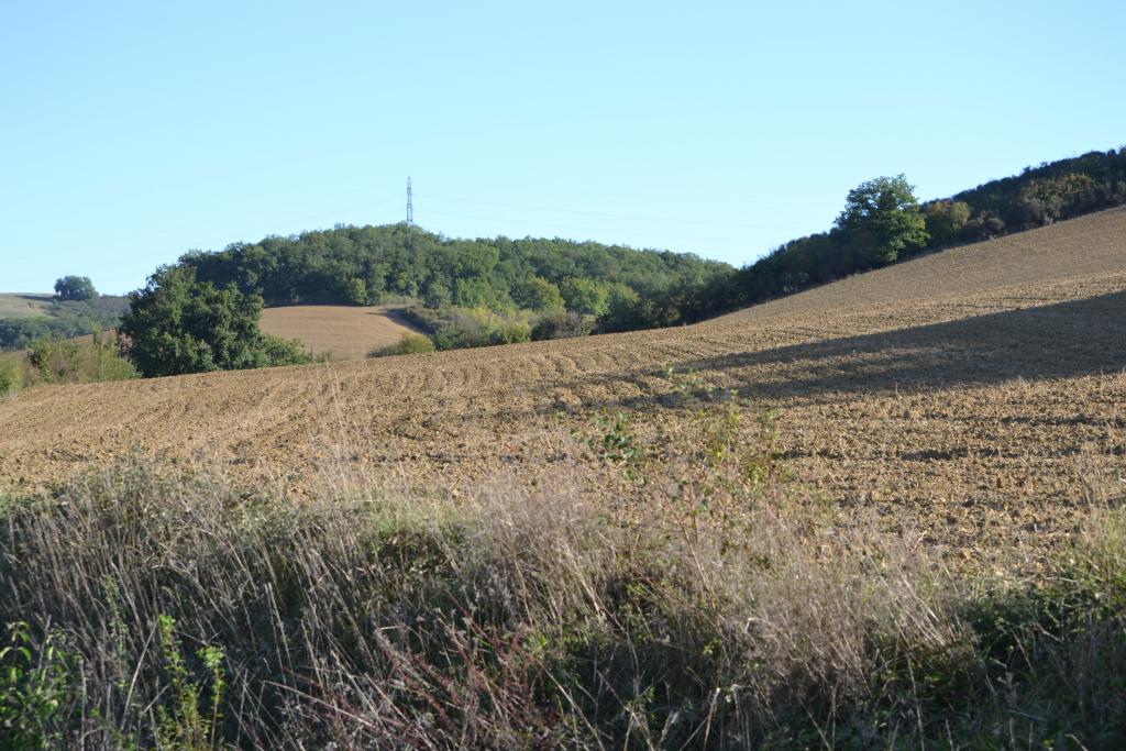 présentation de la commune de Biran