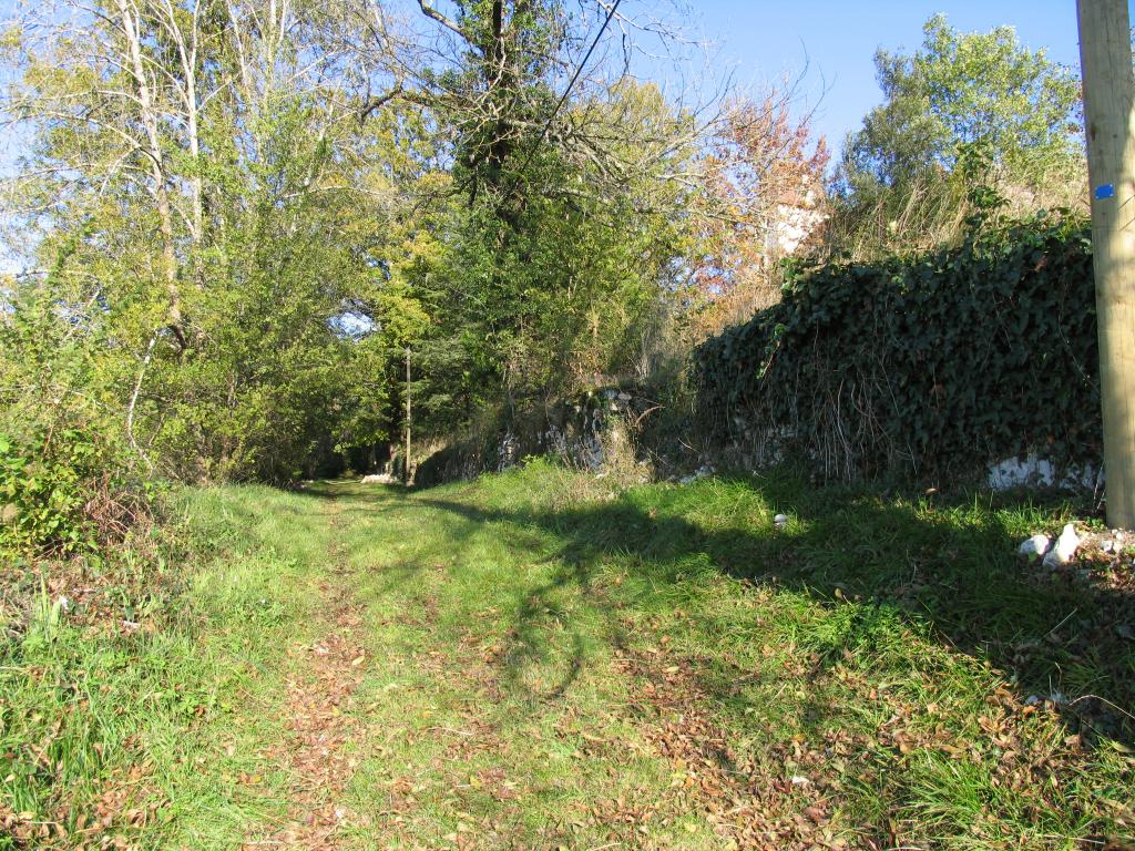 ensemble castral : castrum