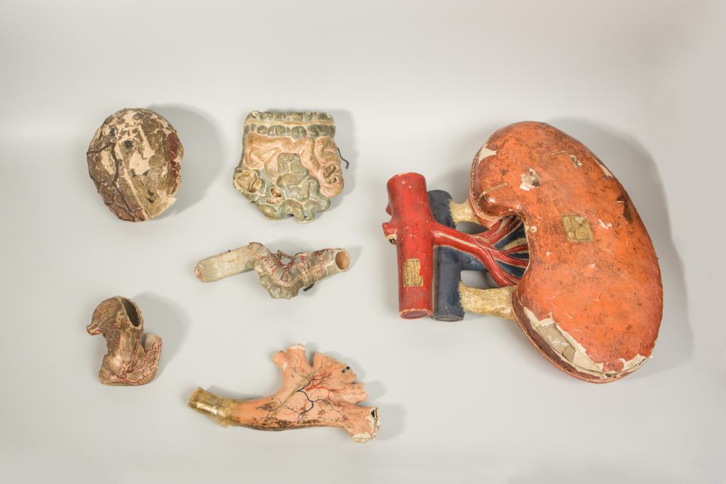 objet de représentation scientifique et pédagogique