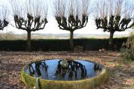 jardin d'agrément