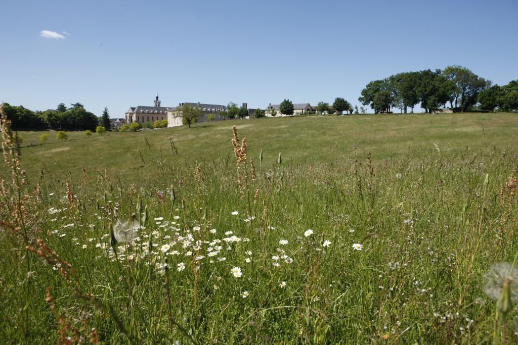 parc dit du Grand Couvent