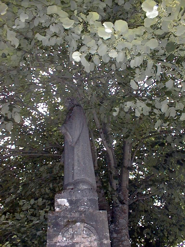 statue (colossal) : Christ du Sacré-Coeur