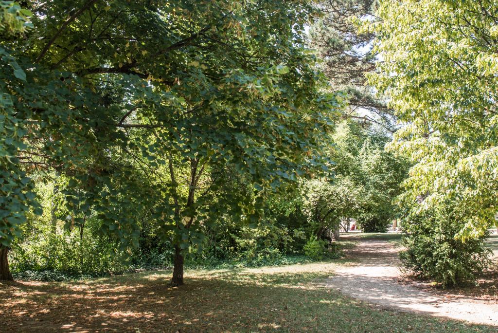 jardin public dit Parc de la Victoire