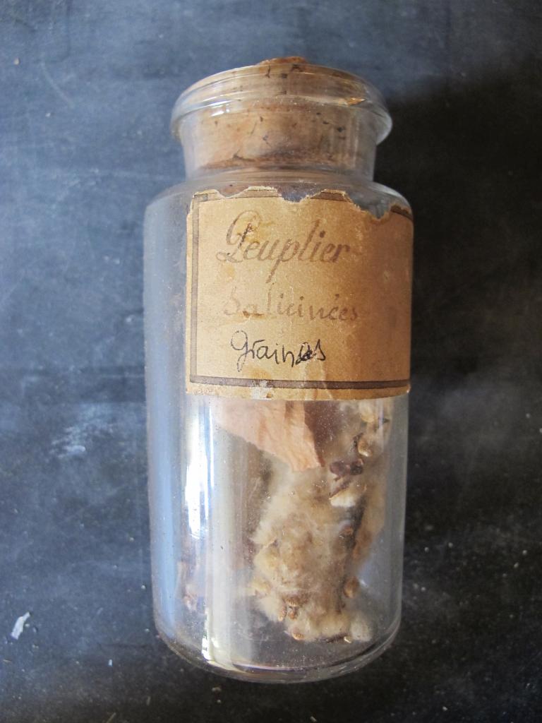 ensemble de la collection d'herbier