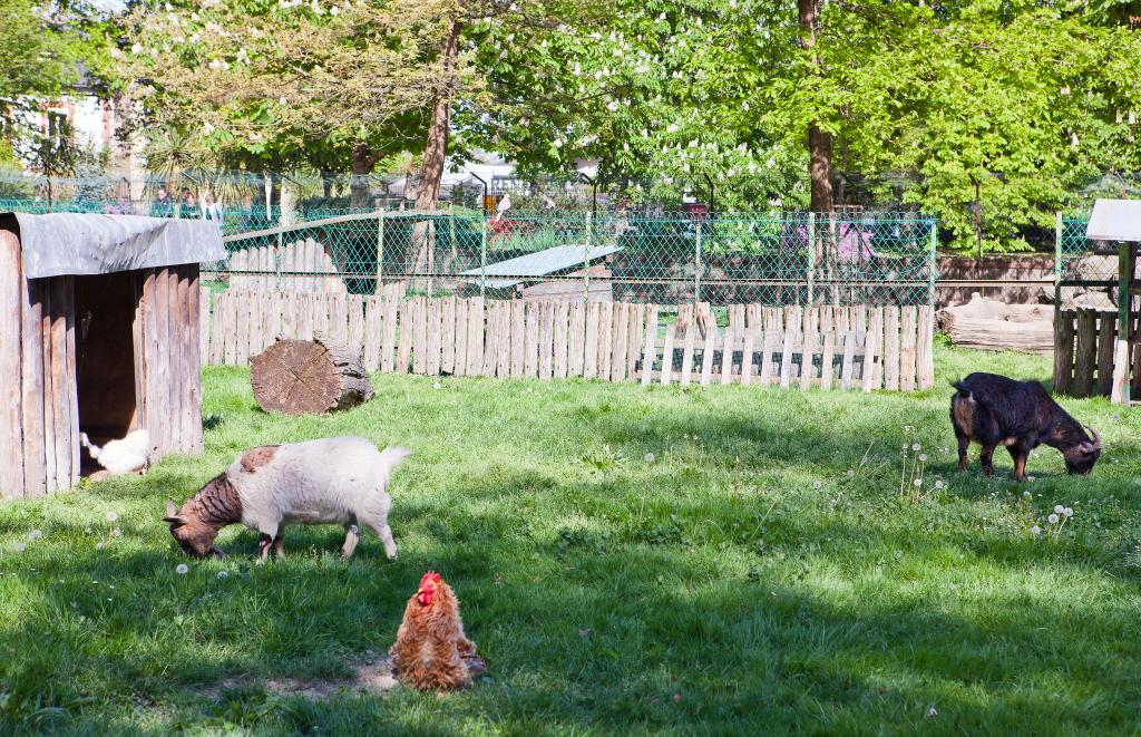 ancien jardin botanique dit Jardin Massey actuellement jardin public