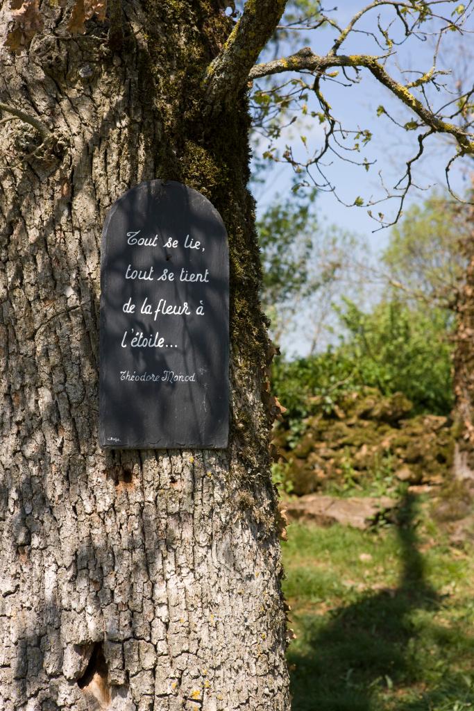 jardin dit Jardin d'Eden Médiéval et parc du château du Colombier