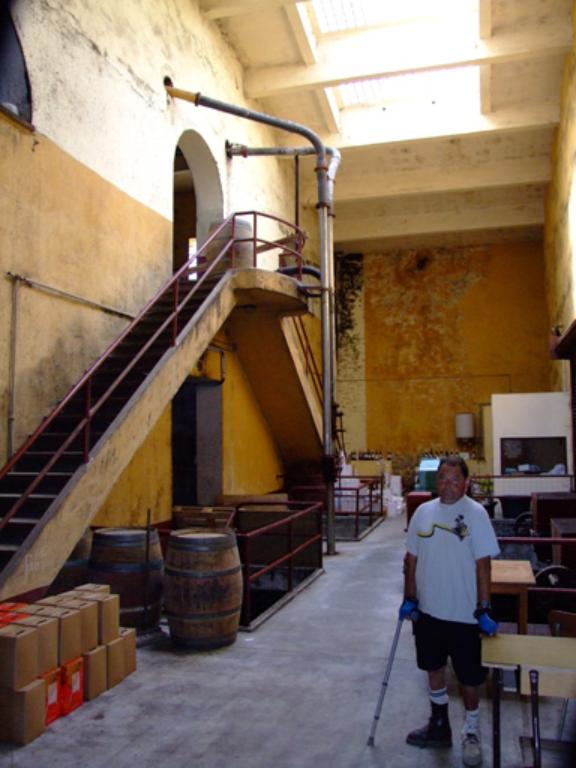 coopérative vinicole