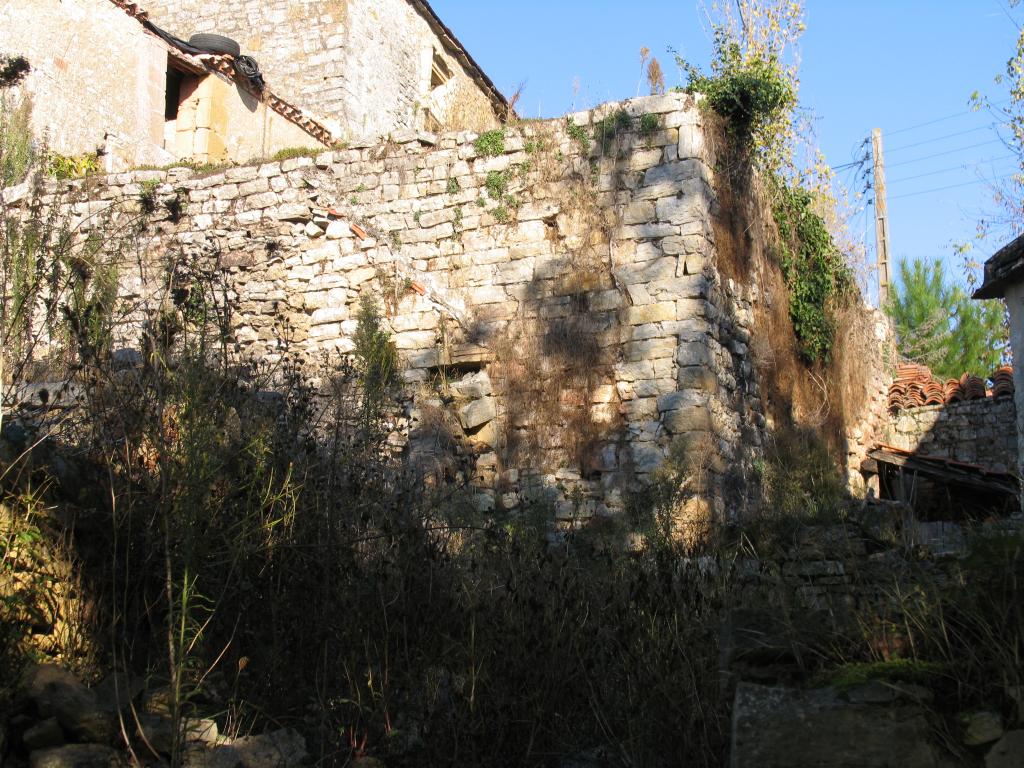 ensemble castral : castrum