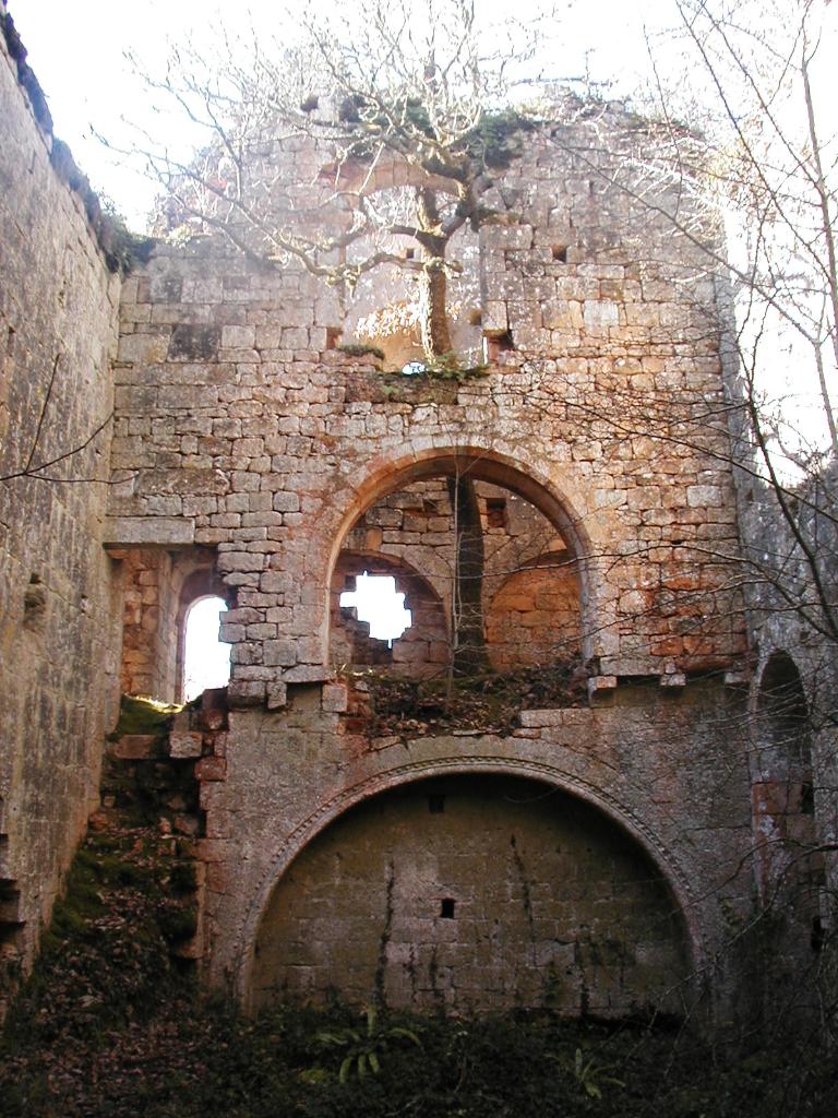 ensemble castral : castrum