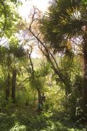 jardin botanique dit Palmeraie du Sarthou