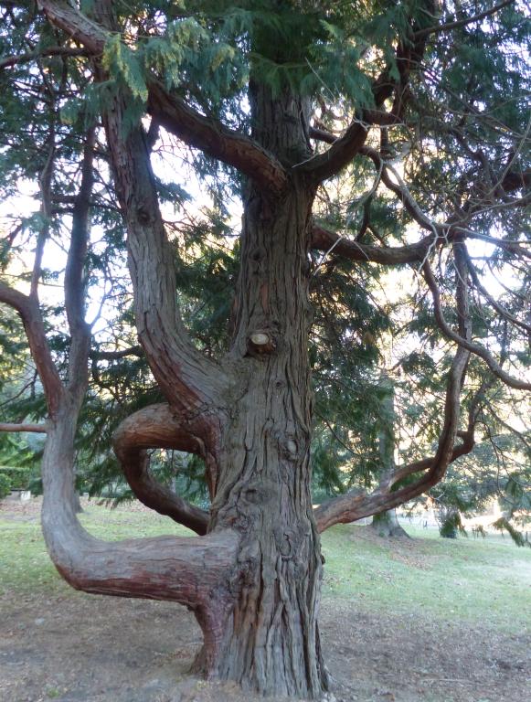 parc de l'établissement thermal actuellement jardin Charles Trénet