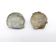 Paléontologie - Strophomena attenuta (détermination d'origine)