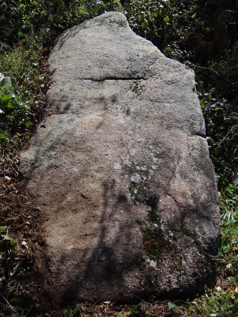 statue-menhir du Col de La Frajure