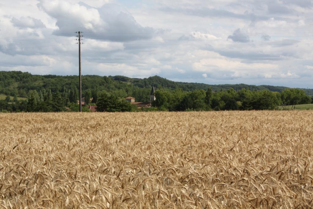 présentation de la commune de Moncorneil-Grazan