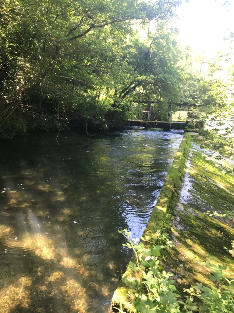 fabrique de peigne en corne Azéma-Bigou